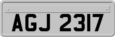 AGJ2317