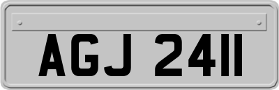 AGJ2411