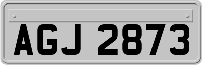 AGJ2873