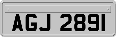 AGJ2891