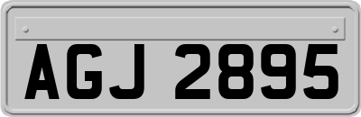 AGJ2895