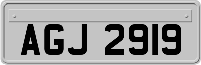 AGJ2919