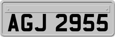 AGJ2955