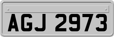 AGJ2973