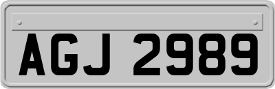 AGJ2989
