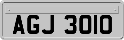 AGJ3010