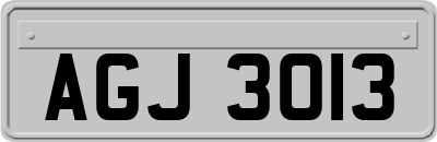 AGJ3013