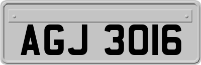 AGJ3016