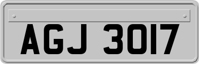 AGJ3017