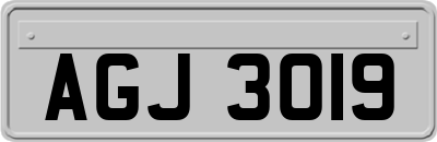 AGJ3019
