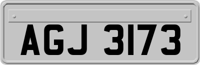 AGJ3173