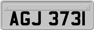 AGJ3731