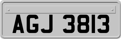 AGJ3813