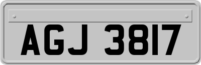 AGJ3817