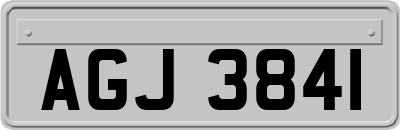 AGJ3841