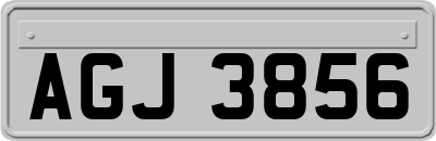 AGJ3856