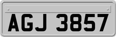 AGJ3857