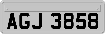 AGJ3858