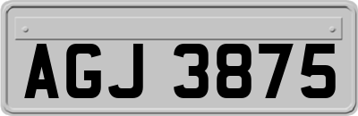 AGJ3875