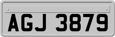 AGJ3879
