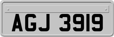 AGJ3919