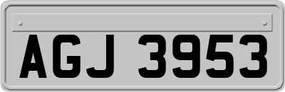 AGJ3953