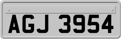 AGJ3954