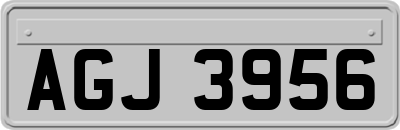 AGJ3956