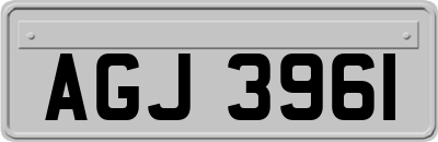 AGJ3961