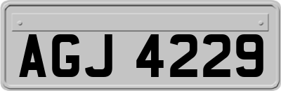 AGJ4229