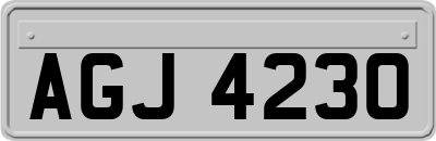 AGJ4230