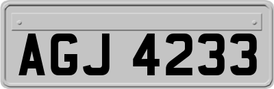 AGJ4233