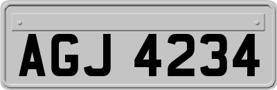 AGJ4234