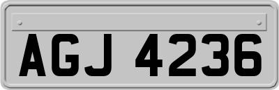 AGJ4236