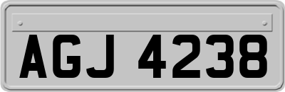 AGJ4238