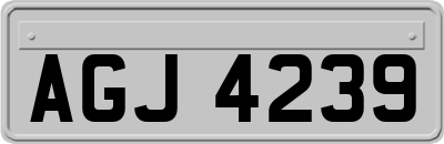 AGJ4239