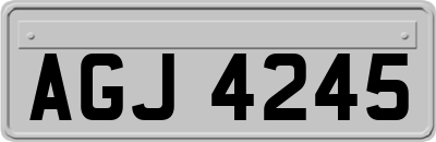 AGJ4245