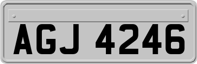 AGJ4246