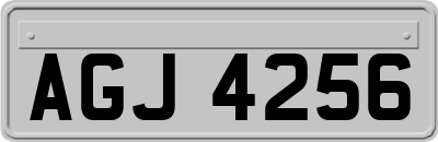AGJ4256