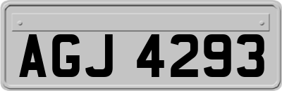 AGJ4293