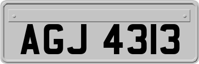 AGJ4313