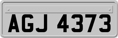 AGJ4373