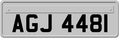 AGJ4481