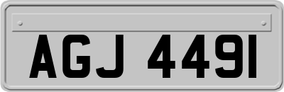 AGJ4491