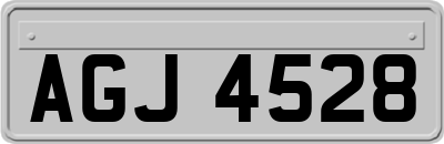 AGJ4528