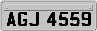 AGJ4559