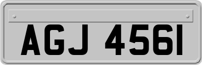 AGJ4561