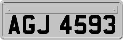 AGJ4593