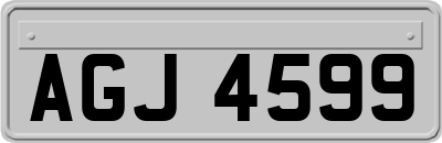 AGJ4599