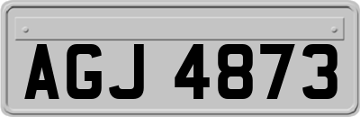 AGJ4873